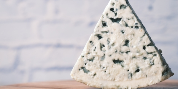 Gorgonzola - Towfiqu Barbhuiya Gorgonzola - Towfiqu Barbhuiya